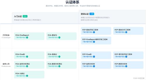 计算机软件证书与专业咨询 提升技能与职业发展的关键